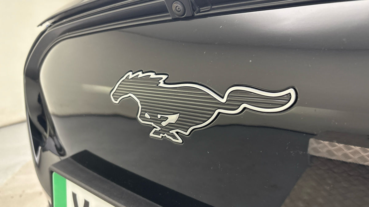 Ford Mustang Mach-E Image 24
