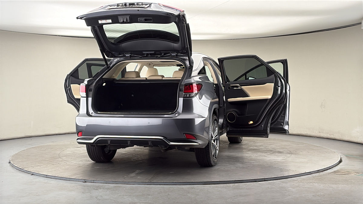 More views of Lexus RX