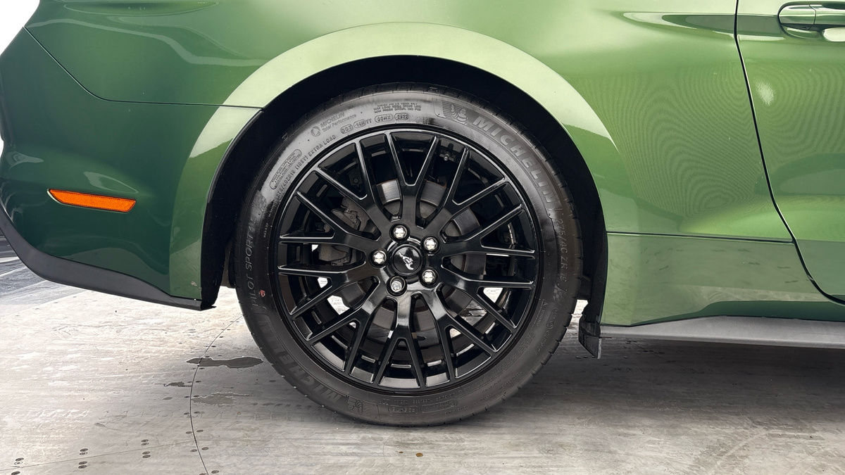 Ford Mustang Image 10