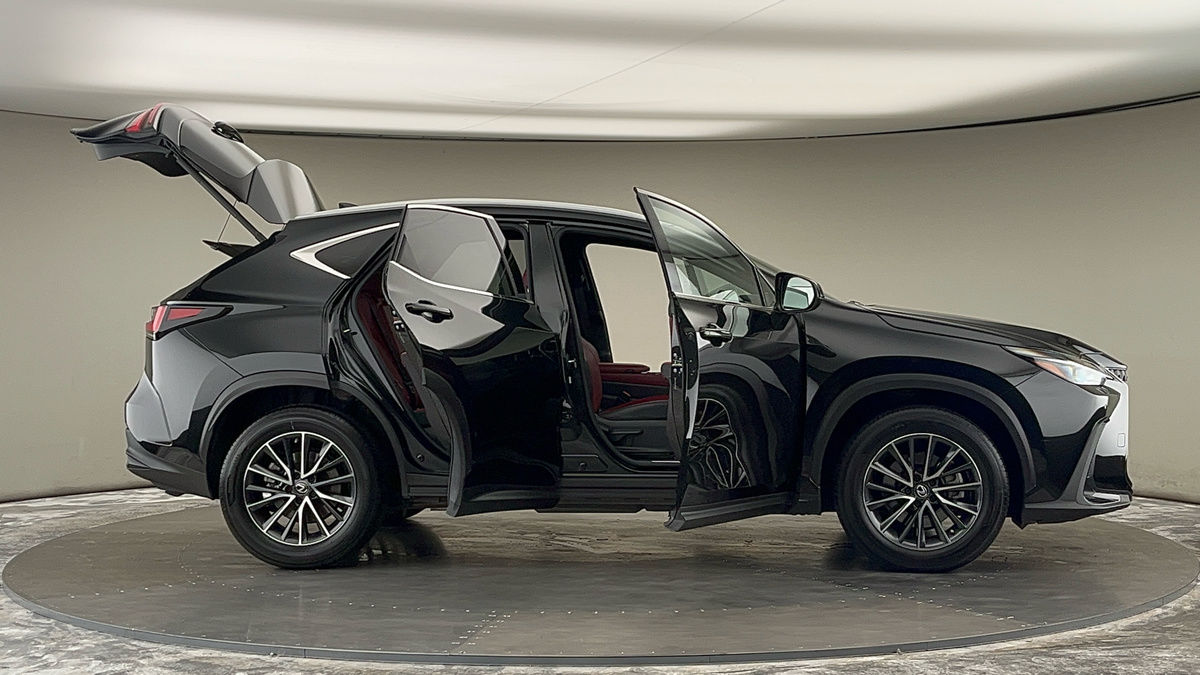 More views of Lexus NX