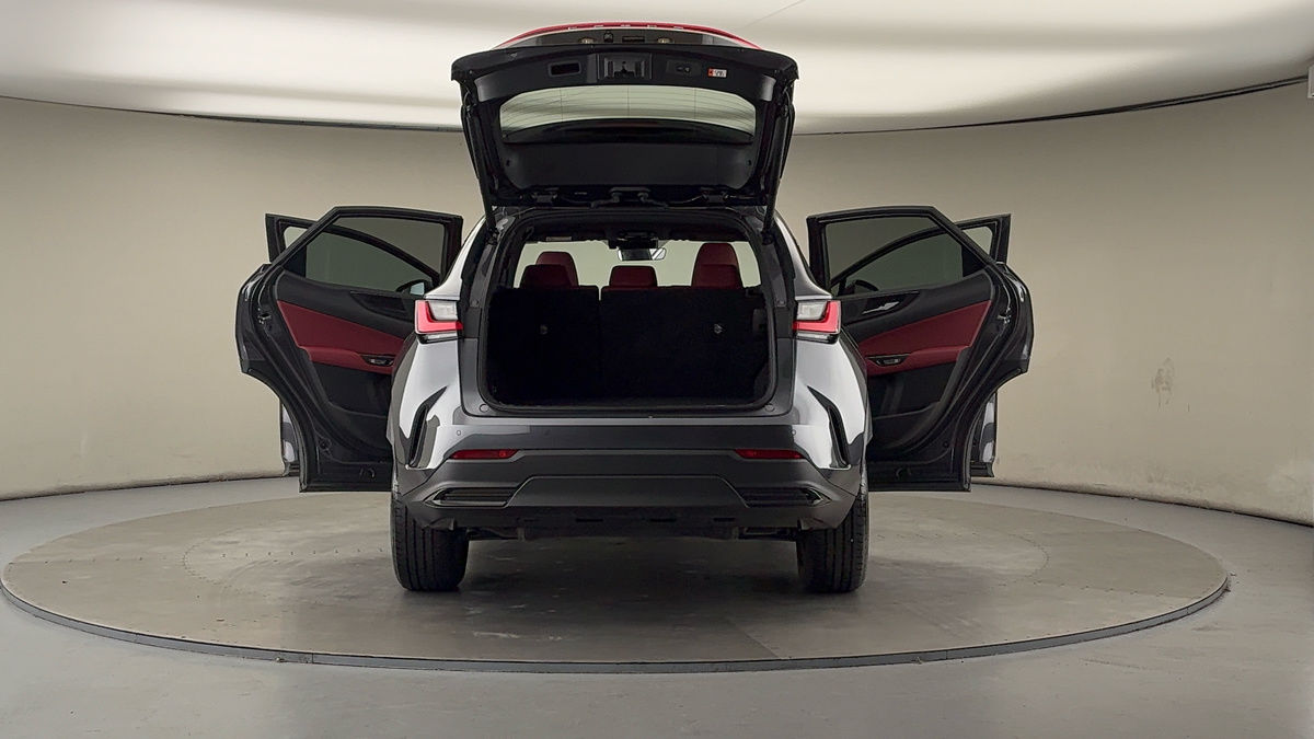 More views of Lexus NX