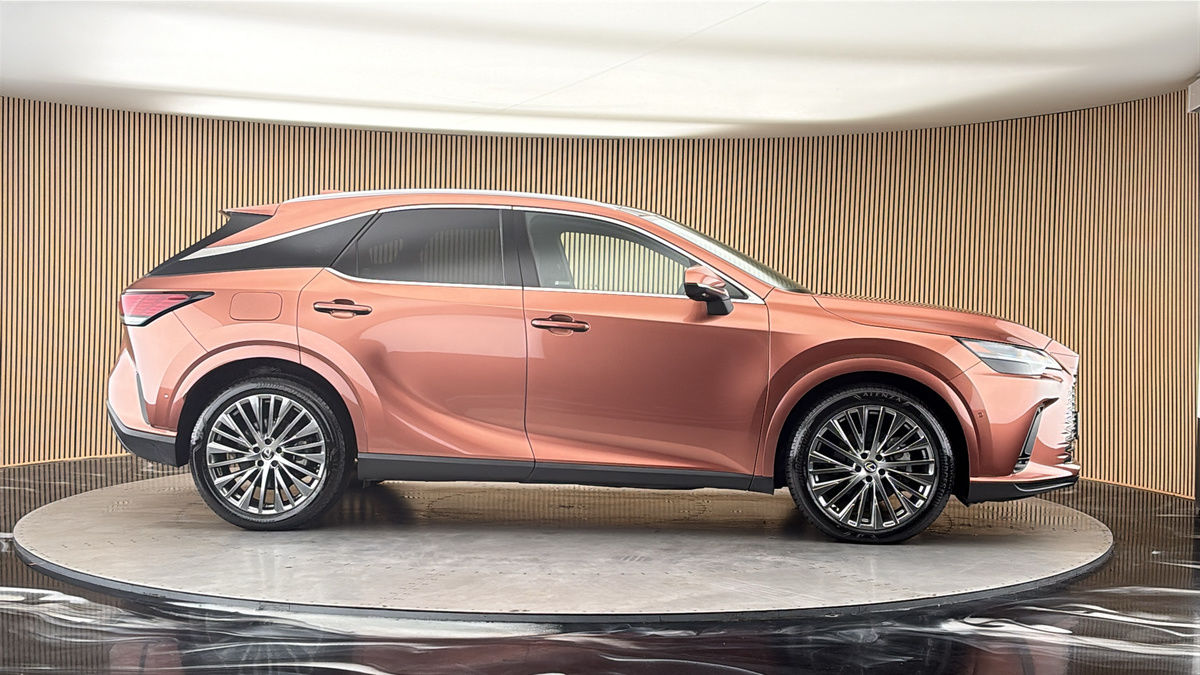 More views of Lexus RX