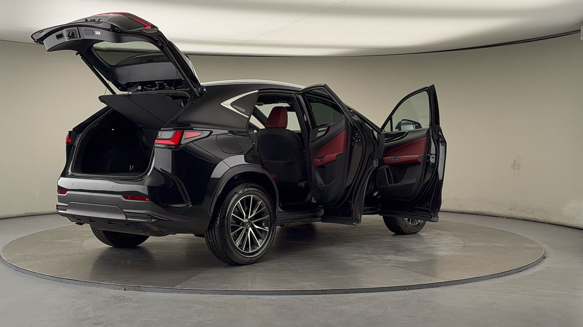 More views of Lexus NX