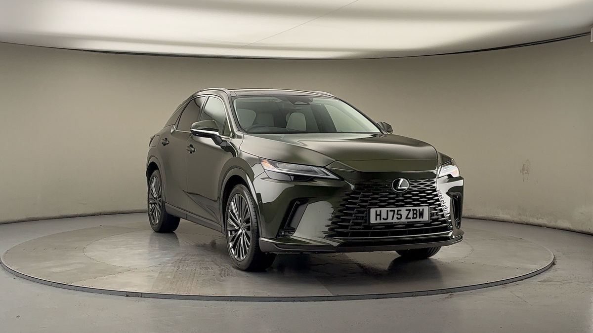 More views of Lexus RX