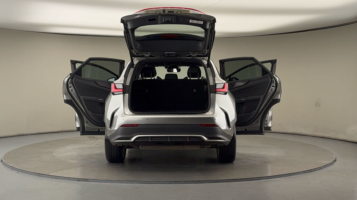 More views of Lexus NX