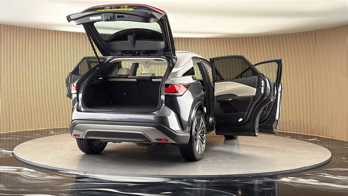 More views of Lexus RX