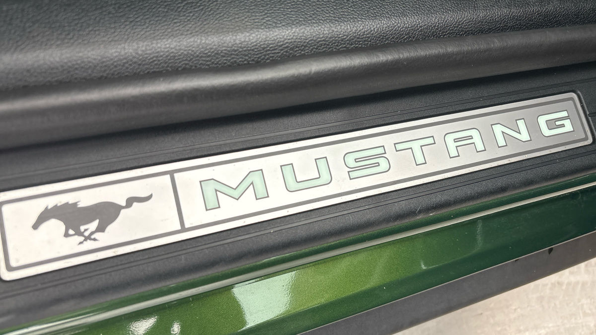 Ford Mustang Image 25