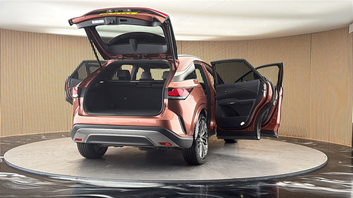 More views of Lexus RX