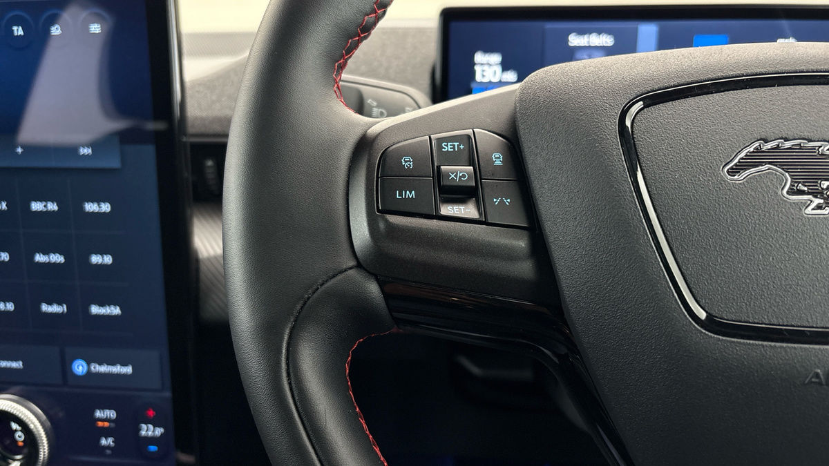 Ford Mustang Mach-E Image 25