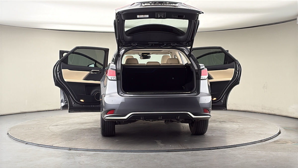 More views of Lexus RX