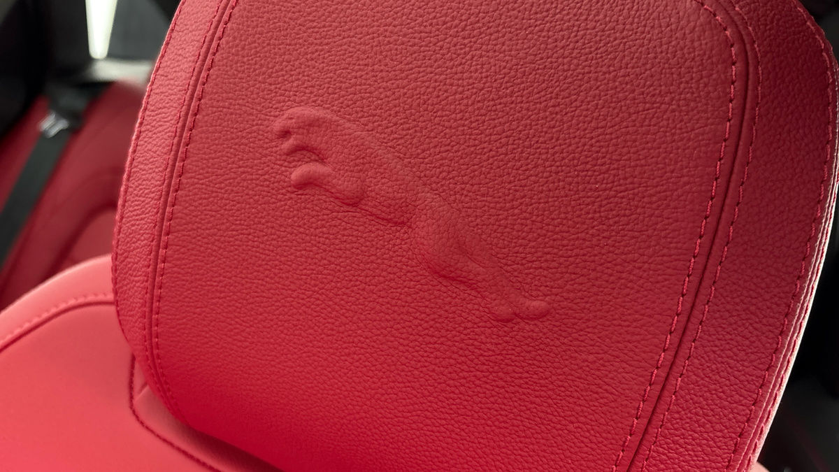 Jaguar F-PACE Image 28